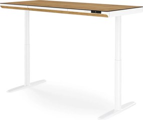 Elektrický písací stôl sit-stand so zásuvkou a bezdrôtovou nabíjačkou Qi biely/zlatý dub, 1600 mm: ELLIS