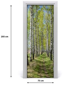 Fototapeta na dvere samolepiace Břízová les 75x205 cm