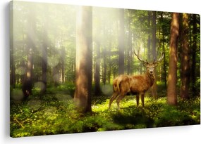 Obraz jeleňa v lese (90x60 cm)