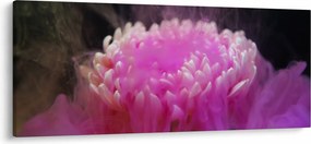 Obraz kvetiny v ružovom dyme (120x50 cm)