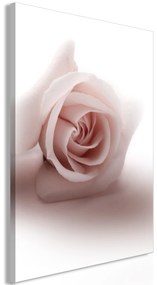Artgeist Obraz - Rose Shadow (1 Part) Vertical Veľkosť: 60x90, Verzia: Premium Print