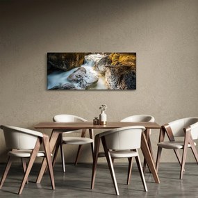 Obraz - Lesný potok (120x50 cm)