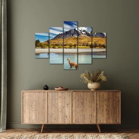 Obraz - Národný park Torres del Paine (150x105 cm)