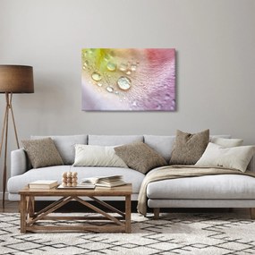 Obraz - Kvapky rosy (90x60 cm)