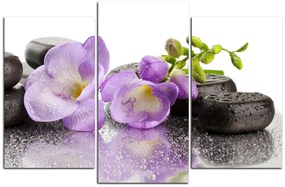 Obraz na plátne - Lávové kamene a fialové kvety 163C (135x90 cm)