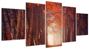 Jesenné les - obraz