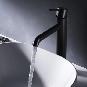 Umývadlová batéria AM.PM Spike FPA92022 vysoká, čierna