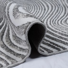 Nadčasový koberec s elegantným vzorom Šírka: 200 cm | Dĺžka: 290 cm