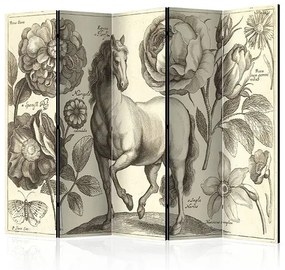 Paraván - Horse II [Room Dividers] Veľkosť: 225x172, Verzia: Akustický