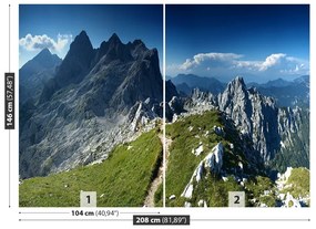 Fototapeta Vliesová Alpy slovinsko 104x70 cm