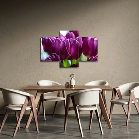 Obraz tulipánov (90x60 cm)