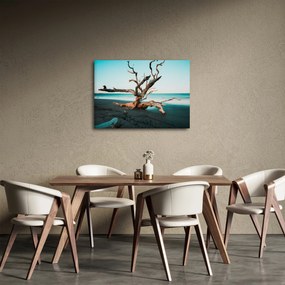 Obraz - Vyplavenie na pláži (70x50 cm)
