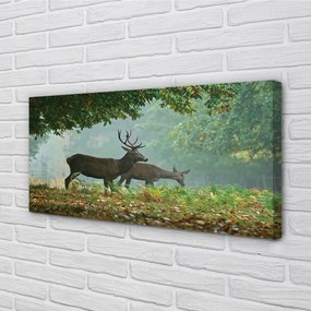 Obraz na plátne Jeleňa na jeseň les 140x70 cm
