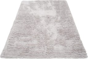 TA Koberec LIGHT GREY LIGHT GREY SILK Sivý Obdĺžnikový Rozmer: 80x150 cm