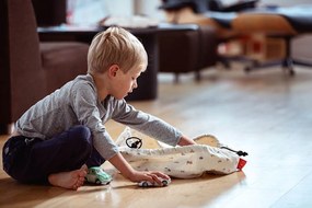 PLAY &amp; GO MINI Vak na hračky - Autá