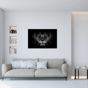 Obraz - Lev a jeho majestátnosť (90x60 cm)
