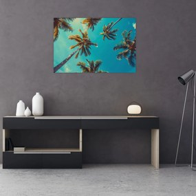 Obraz - Vysoké palmy (90x60 cm)