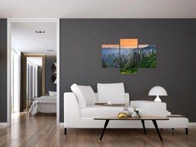 Obraz - Národný lesný park Zhangjiajie (90x60 cm)