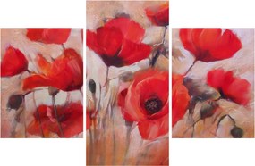 Obraz - Vlčie maky (90x60 cm)