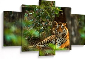 Obraz odpočívajúceho tigra (150x105 cm)