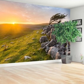 Fototapeta Vliesová Západ slnka 250x104 cm