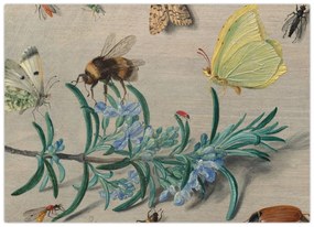 Obraz - Jan van Kessel the Elder, Insects and a Sprig of Rosemary, reprodukcia (70x50 cm)