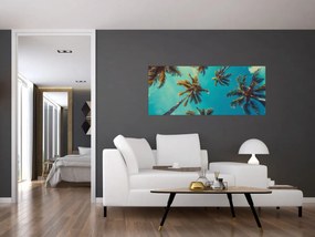 Obraz - Vysoké palmy (120x50 cm)