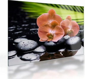 Sklenený obraz - Oranžová orchidea s palmovými listami (70x50 cm)