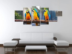 Gario Obraz s hodinami Farebné papagáje - 5 dielny Rozmery: 150 x 70 cm