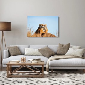 Obraz - Tigrice a jej mláďa (90x60 cm)