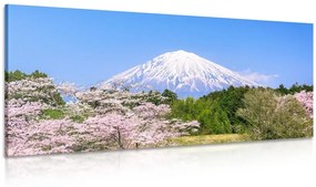 Obraz hora Fuji