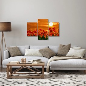 Obraz rozkvitnutého lánu s tulipánmi (90x60 cm)