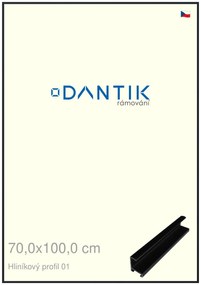 DANTIK rám na obraz 70x100 | ALU Černá matná (Plexi Čiré)