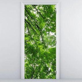 Fototapeta na dvere - Pohľad do korún stromov (95x205cm)