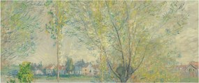 Obraz - Claude Monet, The Willows, reprodukcia (120x50 cm)