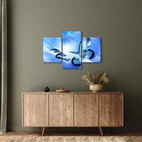 Obraz - Motýľ, symbol nádeje (90x60 cm)
