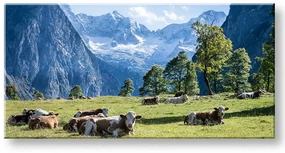 Obraz na stenu PANORÁMA KRAJINA | rôzne rozmery