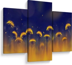 Obraz - Púpavy (90x60 cm)