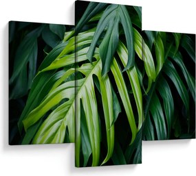 Obraz - Tropické listy (90x60 cm)