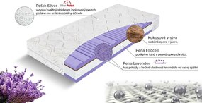 Materasso Penový matrac Kingstone 1+1 Rozmer: 70 x 200 cm