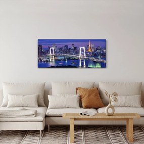 Obraz veľkomesta v noci (120x50 cm)