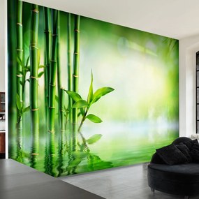 Artgeist Fototapeta - Bamboo Grove Veľkosť: 150x105, Verzia: Standard