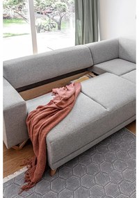 Svetlosivá rozkladacia/s úložným priestorom rohová pohovka (pravý roh/do L) Classy Sophie – Miuform