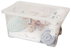 Rotho Univerzální úložný box, krabice s víkem, EVO, transparent - 58x39x28, 44l