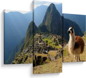 Obrázok - Lama a Machu Picchu (90x60 cm)