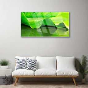 Skleneny obraz List roslina příroda 120x60 cm