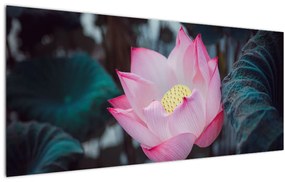 Obraz ružovej kvetiny (120x50 cm)