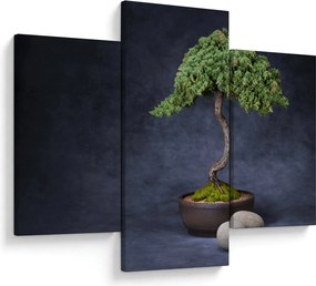 Obraz - Bonsai (90x60 cm)