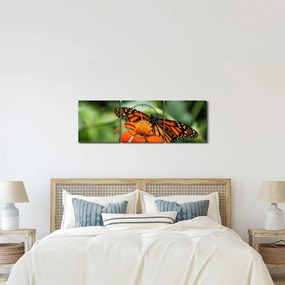 Obraz motýľa na kvetine (s hodinami) (90x30 cm)