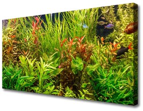 Obraz Canvas Akvárium rybičky rastliny 125x50 cm